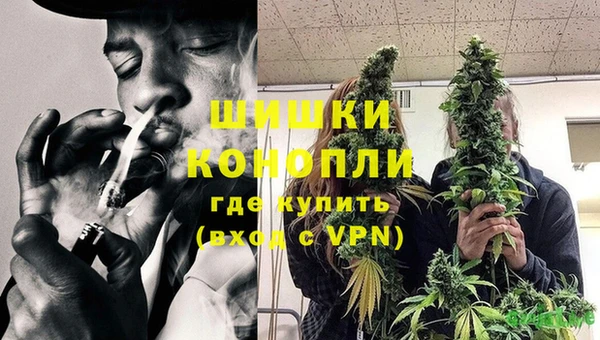 индика Пестово