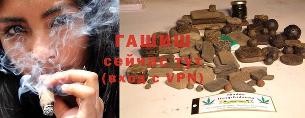 индика Пестово