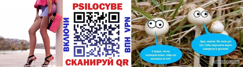 Псилоцибиновые грибы Magic Shrooms  купить  сайты  kraken зеркало  Снежинск 
